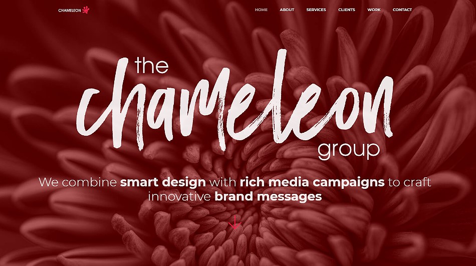 Chameleon Group