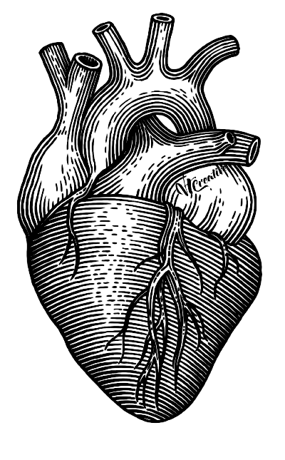 heart